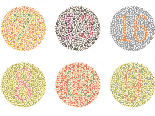 Daltonizam 21 Testovi-razlikovanja-boja_bluevision